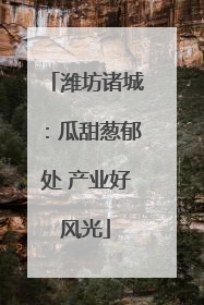 潍坊诸城：瓜甜葱郁处 产业好风光