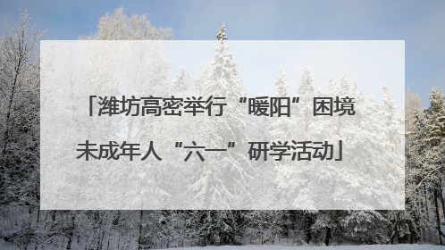 潍坊高密举行“暖阳”困境未成年人“六一”研学活动