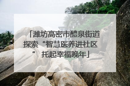 潍坊高密市醴泉街道探索“智慧医养进社区” 托起幸福晚年