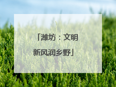 潍坊：文明新风润乡野
