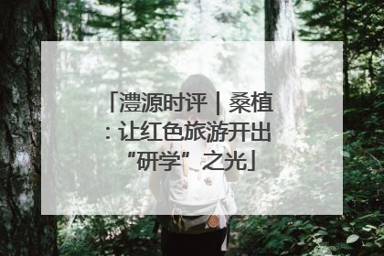 澧源时评｜桑植：让红色旅游开出“研学”之光