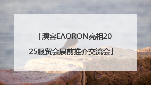 澳容EAORON亮相2025服贸会展前推介交流会