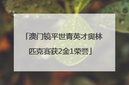 澳门镜平世青英才奥林匹克赛获2金1荣誉