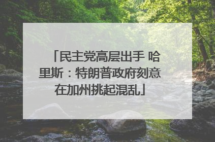 民主党高层出手 哈里斯：特朗普政府刻意在加州挑起混乱