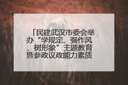 民建武汉市委会举办“学规定、强作风、树形象”主题教育暨参政议政能力素质提升培训班