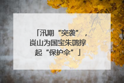 汛期“突袭”，崀山为国宝朱鹮撑起“保护伞”