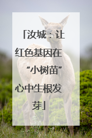 汝城：让红色基因在“小树苗”心中生根发芽