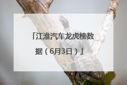 江淮汽车龙虎榜数据（6月3日）