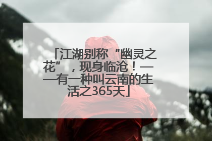 江湖别称“幽灵之花”，现身临沧！——有一种叫云南的生活之365天
