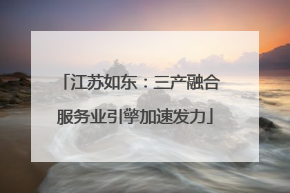 江苏如东：三产融合 服务业引擎加速发力