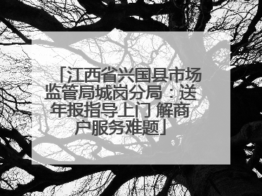 江西省兴国县市场监管局城岗分局：送年报指导上门 解商户服务难题