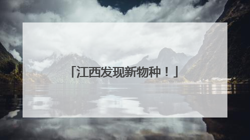 江西发现新物种！
