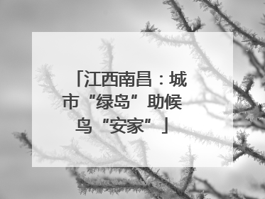 江西南昌：城市“绿岛”助候鸟“安家”