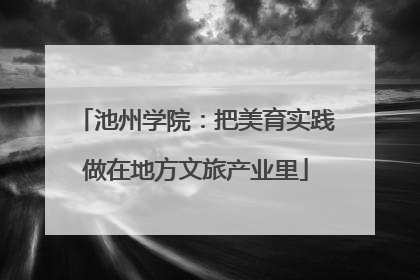池州学院：把美育实践做在地方文旅产业里