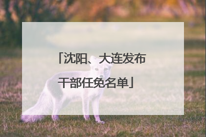 沈阳、大连发布干部任免名单