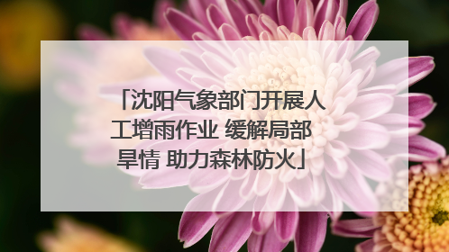 沈阳气象部门开展人工增雨作业 缓解局部旱情 助力森林防火