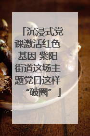 沉浸式党课激活红色基因 紫阳街道这场主题党日这样“破圈”