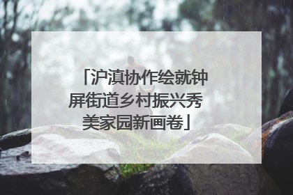 沪滇协作绘就钟屏街道乡村振兴秀美家园新画卷