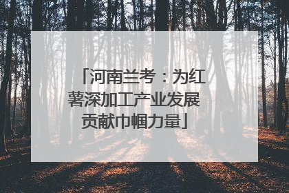 河南兰考：为红薯深加工产业发展贡献巾帼力量