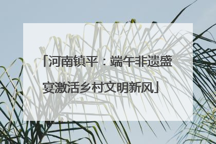河南镇平：端午非遗盛宴激活乡村文明新风