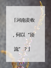 河南麦收，何以“顶流”？