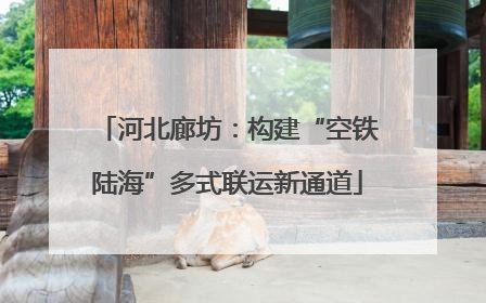 河北廊坊：构建“空铁陆海”多式联运新通道