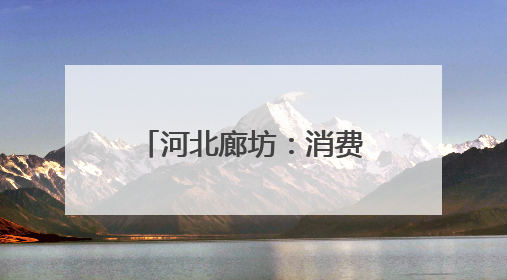 河北廊坊：消费势头稳点燃经济增长“新引擎”