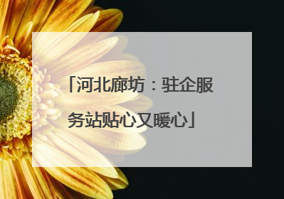 河北廊坊：驻企服务站贴心又暖心