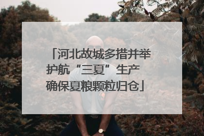 河北故城多措并举护航“三夏”生产 确保夏粮颗粒归仓