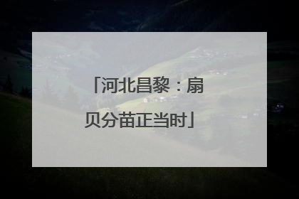 河北昌黎：扇贝分苗正当时
