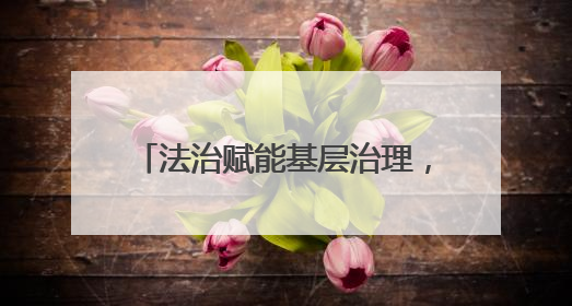 法治赋能基层治理，黄鹤楼街道“送法上门”破解执法难题