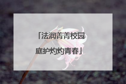 法润菁菁校园 庭护灼灼青春