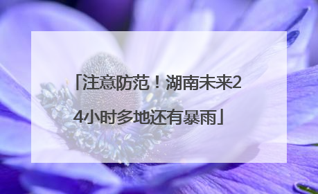 注意防范！湖南未来24小时多地还有暴雨