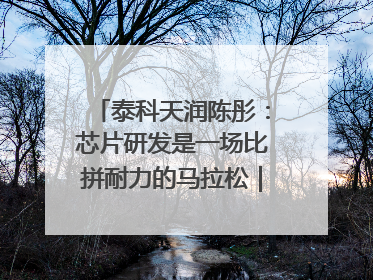 泰科天润陈彤：芯片研发是一场比拼耐力的马拉松｜湘商，向上⑤
