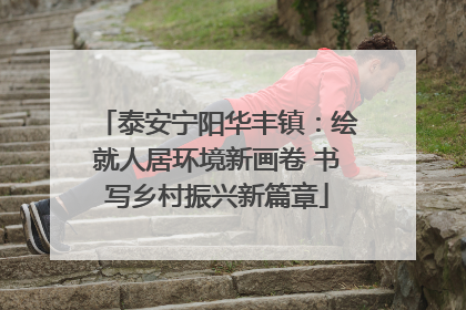 泰安宁阳华丰镇：绘就人居环境新画卷 书写乡村振兴新篇章