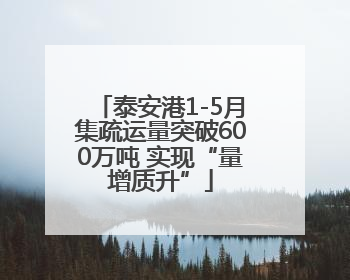 泰安港1-5月集疏运量突破600万吨 实现“量增质升”