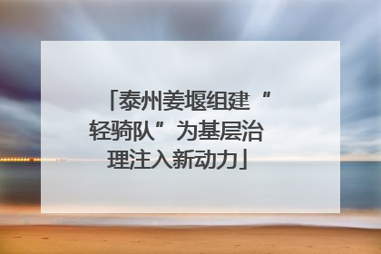 泰州姜堰组建“轻骑队”为基层治理注入新动力