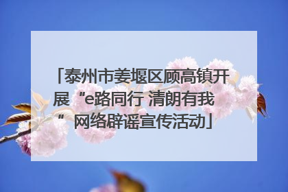 泰州市姜堰区顾高镇开展“e路同行 清朗有我”网络辟谣宣传活动