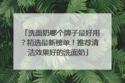 洗面奶哪个牌子最好用？精选最新榜单！推荐清洁效果好的洗面奶