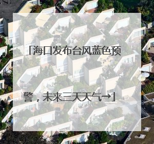 海口发布台风蓝色预警，未来三天天气→