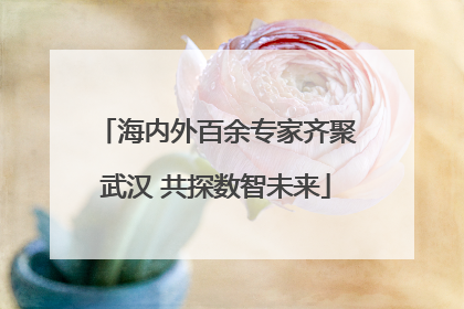海内外百余专家齐聚武汉 共探数智未来