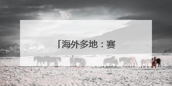 海外多地：赛龙舟 迎端午