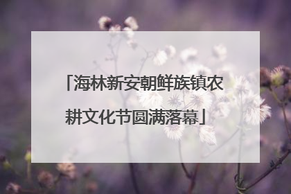 海林新安朝鲜族镇农耕文化节圆满落幕
