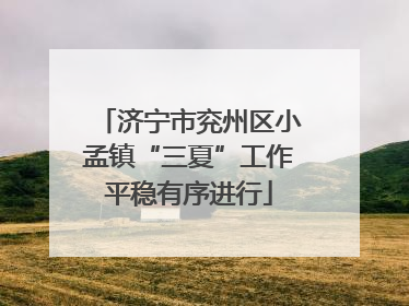 济宁市兖州区小孟镇“三夏”工作平稳有序进行