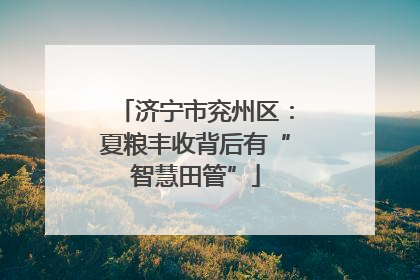 济宁市兖州区：夏粮丰收背后有“智慧田管”