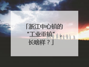 浙江中心镇的“工业重镇”，长啥样？