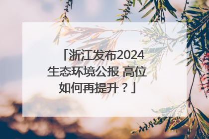 浙江发布2024生态环境公报 高位如何再提升？