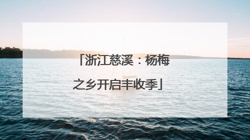 浙江慈溪：杨梅之乡开启丰收季