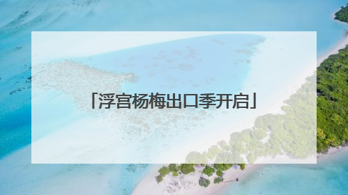 浮宫杨梅出口季开启