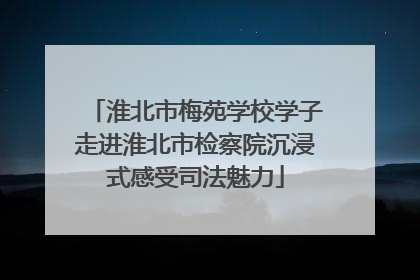 淮北市梅苑学校学子走进淮北市检察院沉浸式感受司法魅力
